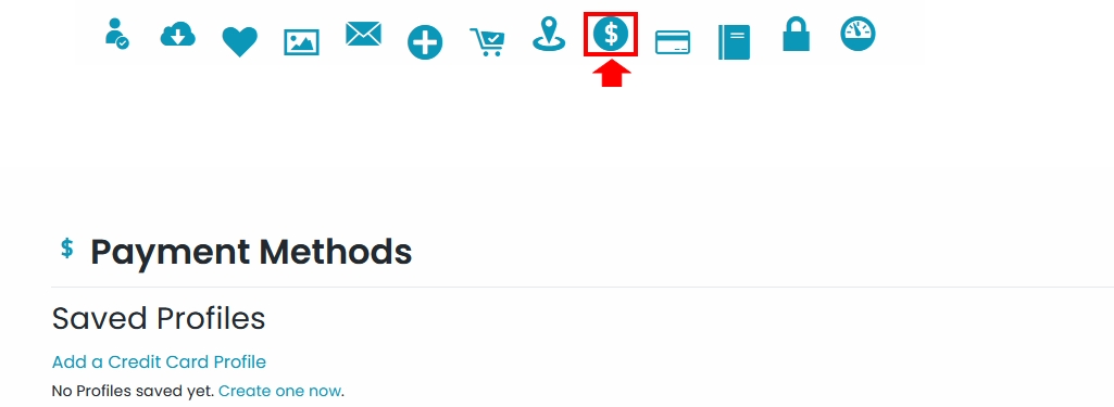 支払い方法(Payment Methods)ページの画像